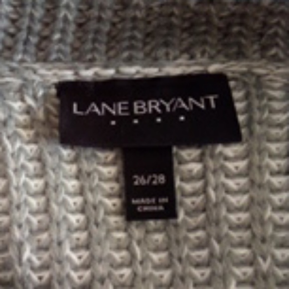 Lane Bryant - Picture 4 of 4
